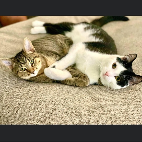 Meet your Posher, Meghan - Picture 3 of 3